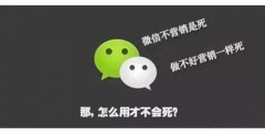 呼和浩特微信代运营托管公司