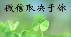 沈阳市微信公众号托管价格