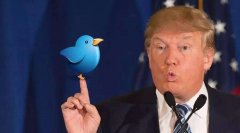 Twitter大力发展直播视频业务 四季度有望盈利