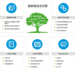 金山微信运营托管