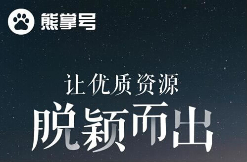 网站优化怎么开通熊掌号，有什么意义